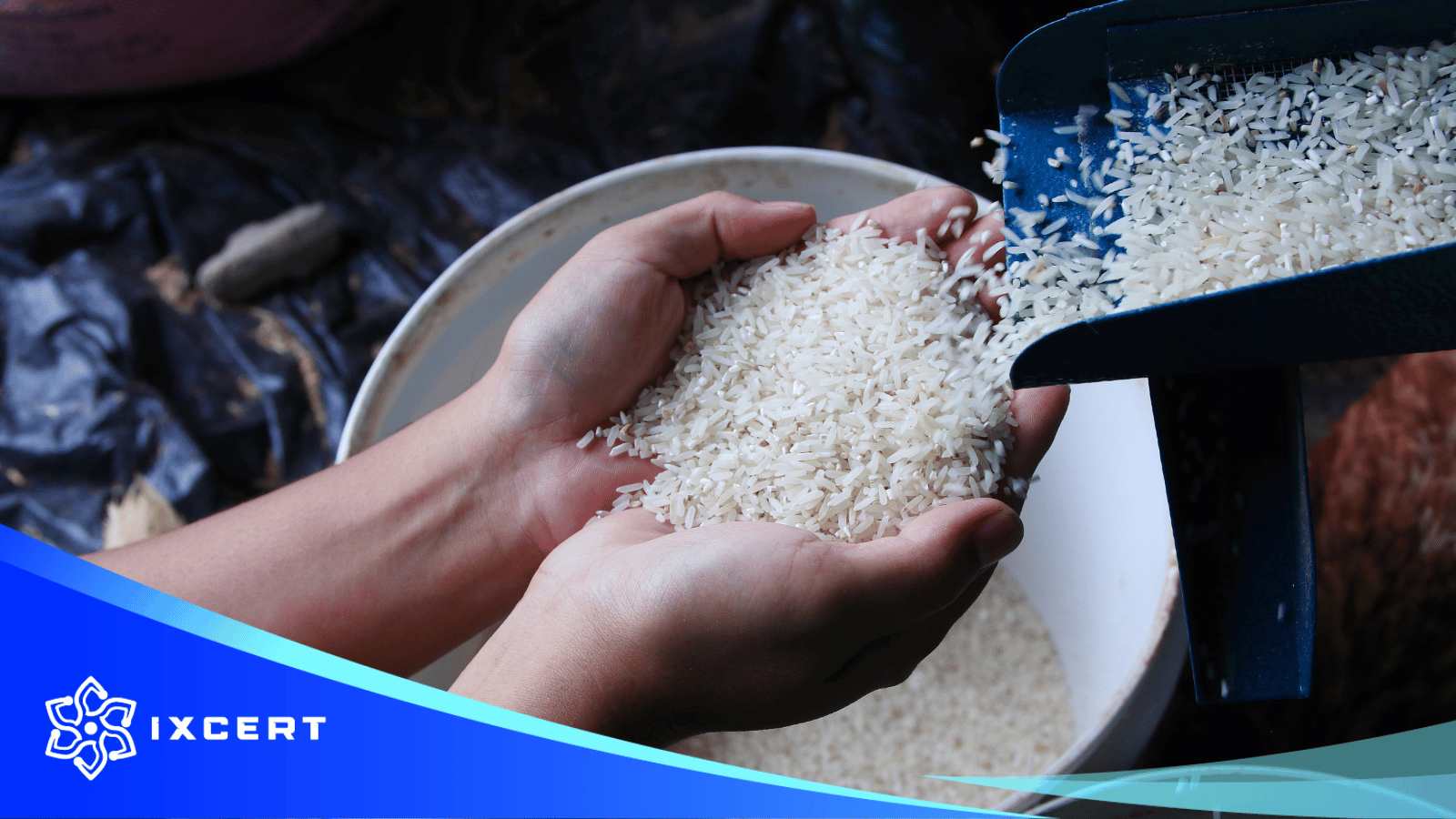 Chứng nhận quốc tế cho xuất khẩu gạo
